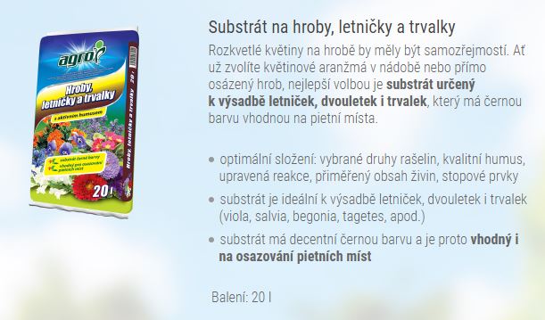 letničky.JPG