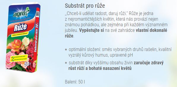 růže.JPG